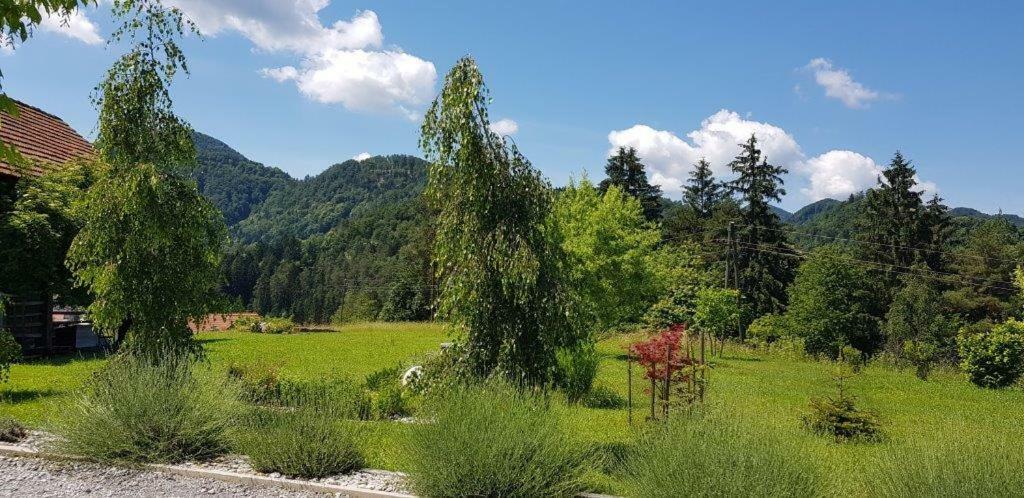 Hillside Bio Resort Delux Apartments Sesce Pri Preboldu Екстер'єр фото
